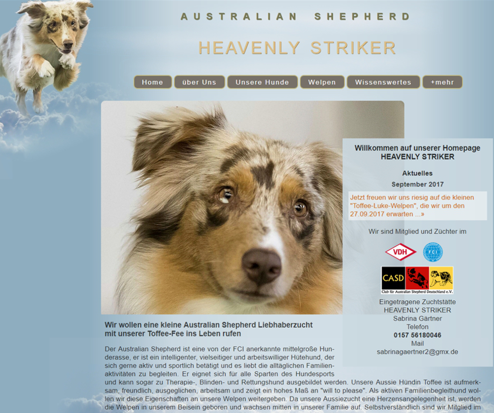 Australien-Shepherd-Heavenlystriker