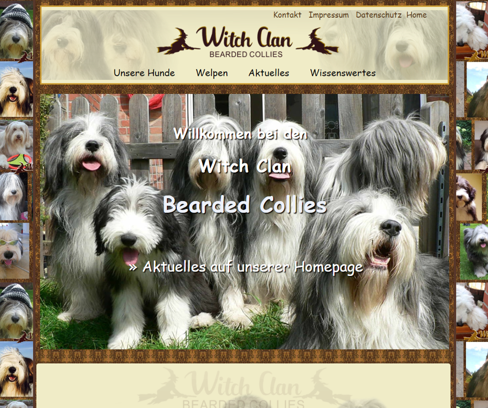 Witchclan-Bearded-Collies